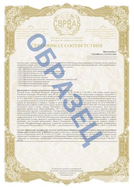 Образец Приложение к СТО 01.064.00220722.2-2020 Жуковский Сертификат СТО 01.064.00220722.2-2020 